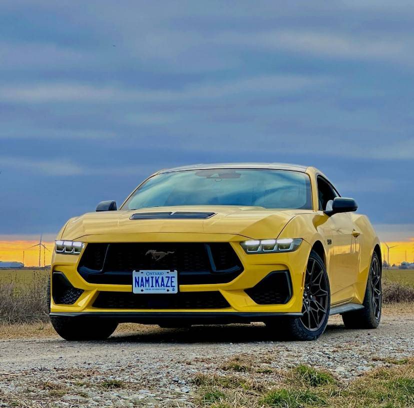 S650 Mustang Yellow Splash Metallic ? 1