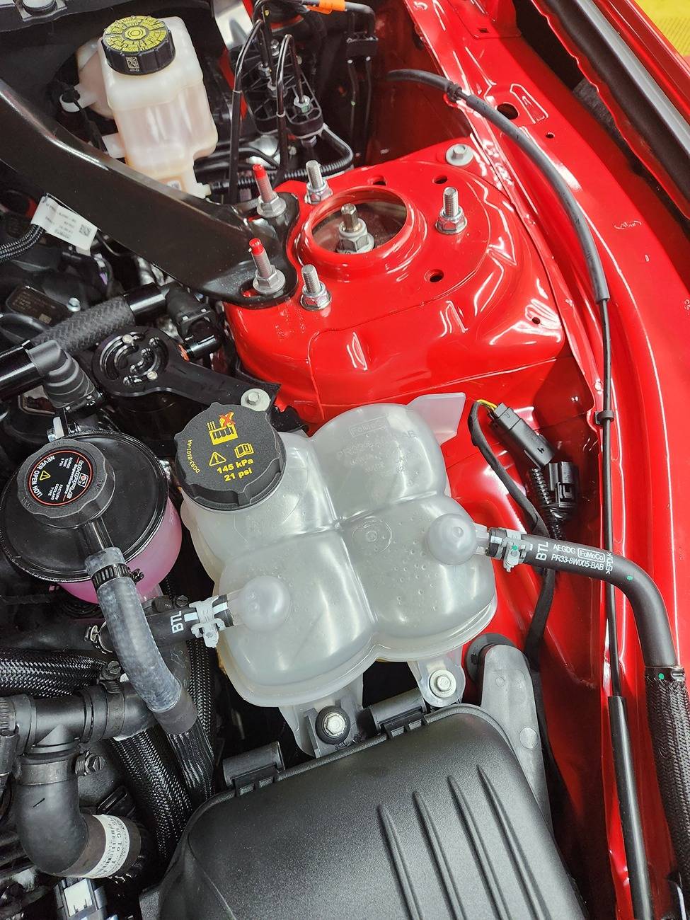 S650 Mustang Mysterious unused connector in engine bay 1000005351