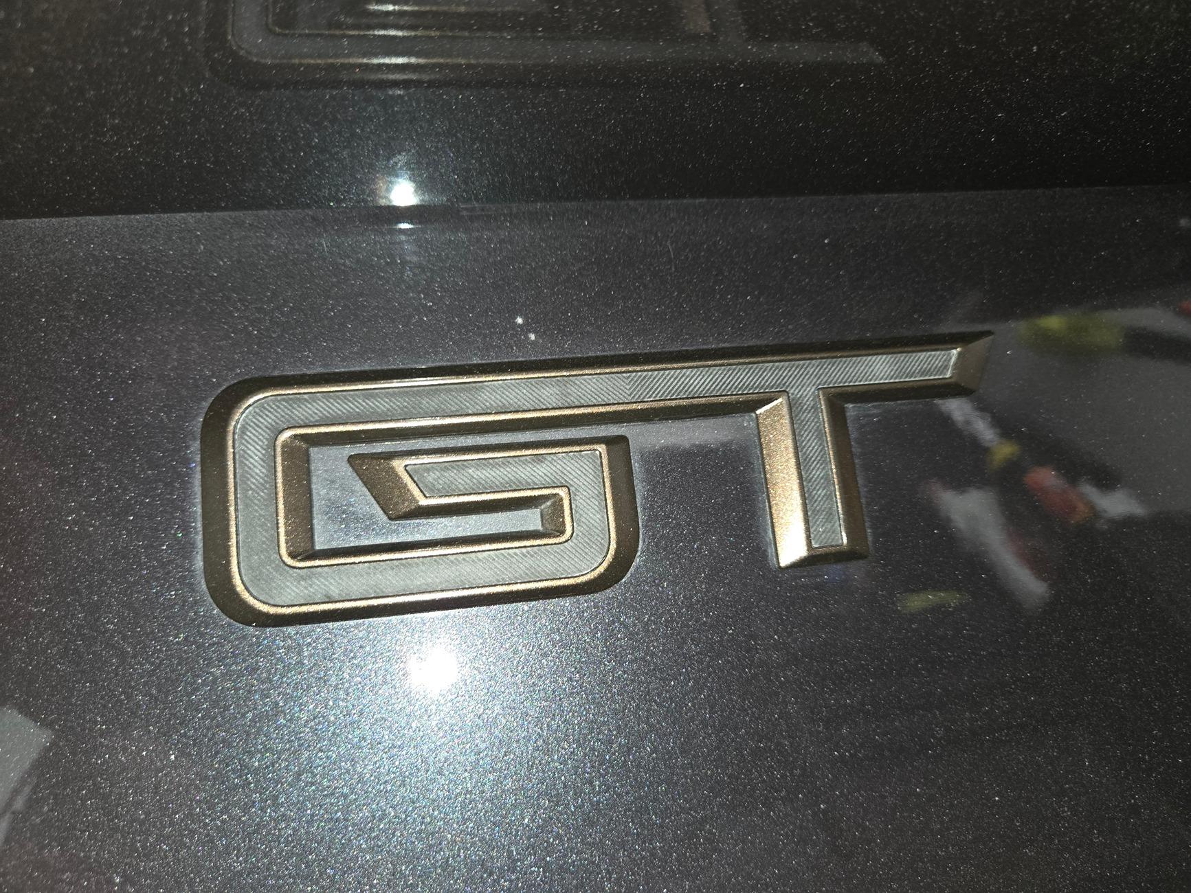 S650 Mustang Emblem Oxidation 20240720_113700