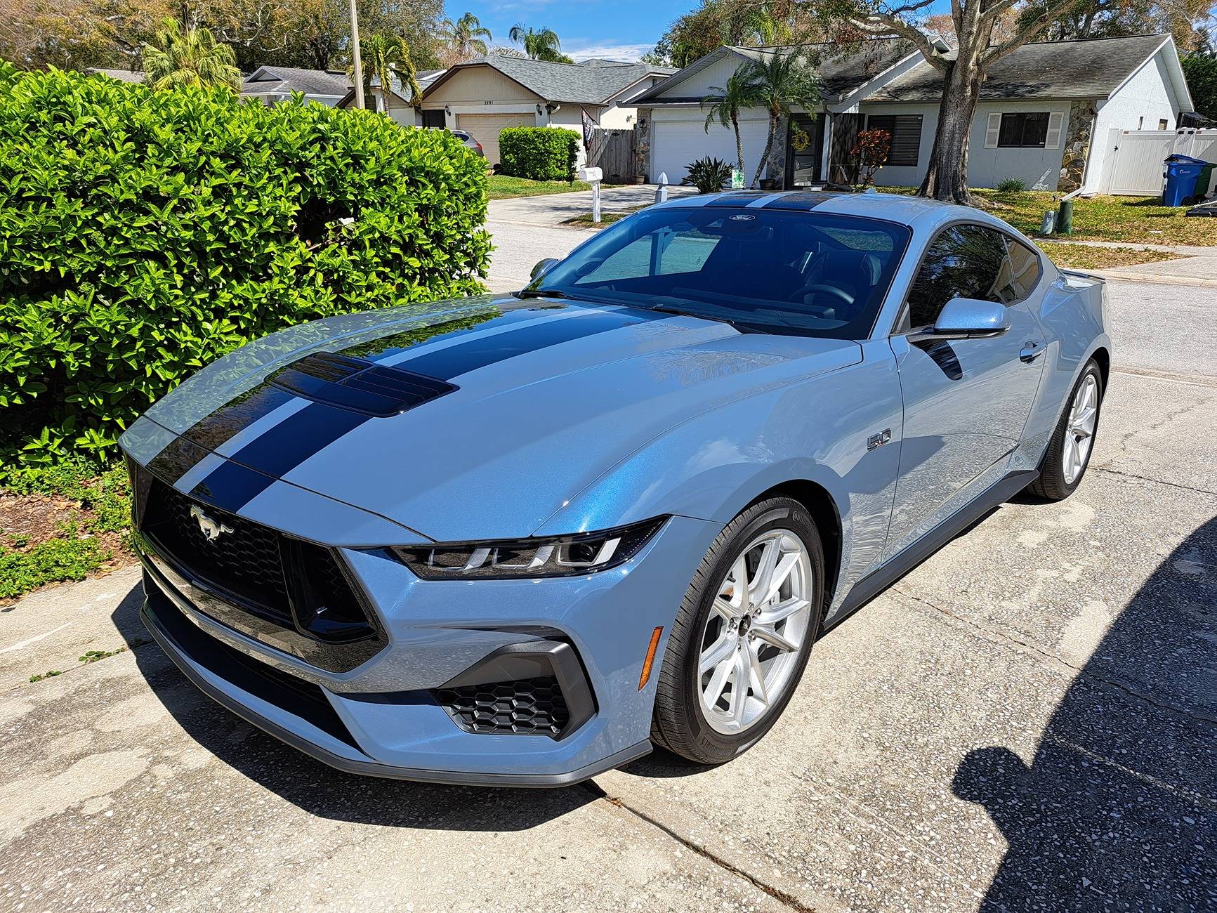 S650 Mustang Cool Daily Random S650 Mustang Pics -- Post Yours! 📸 20250301_125801