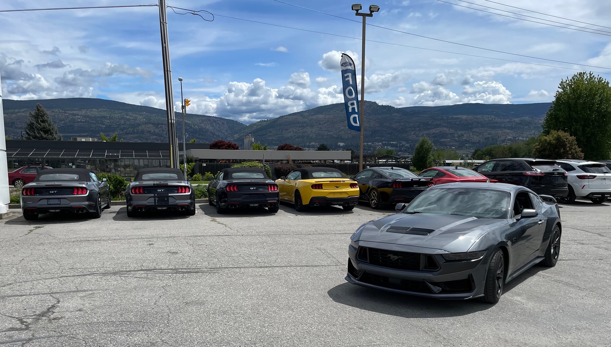 S650 Mustang Show off your stang! 74141BC0-AFFC-488F-9F0E-855CD50CC706