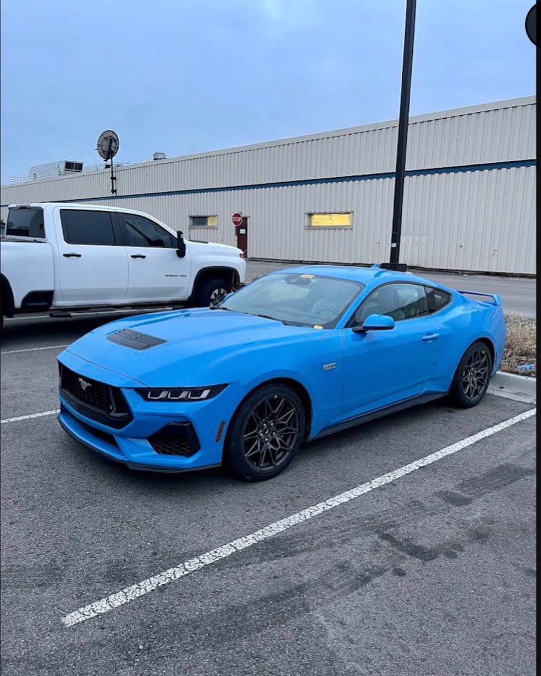 Grabber Blue S650 Mustang Gt Spotted Jpg.559270
