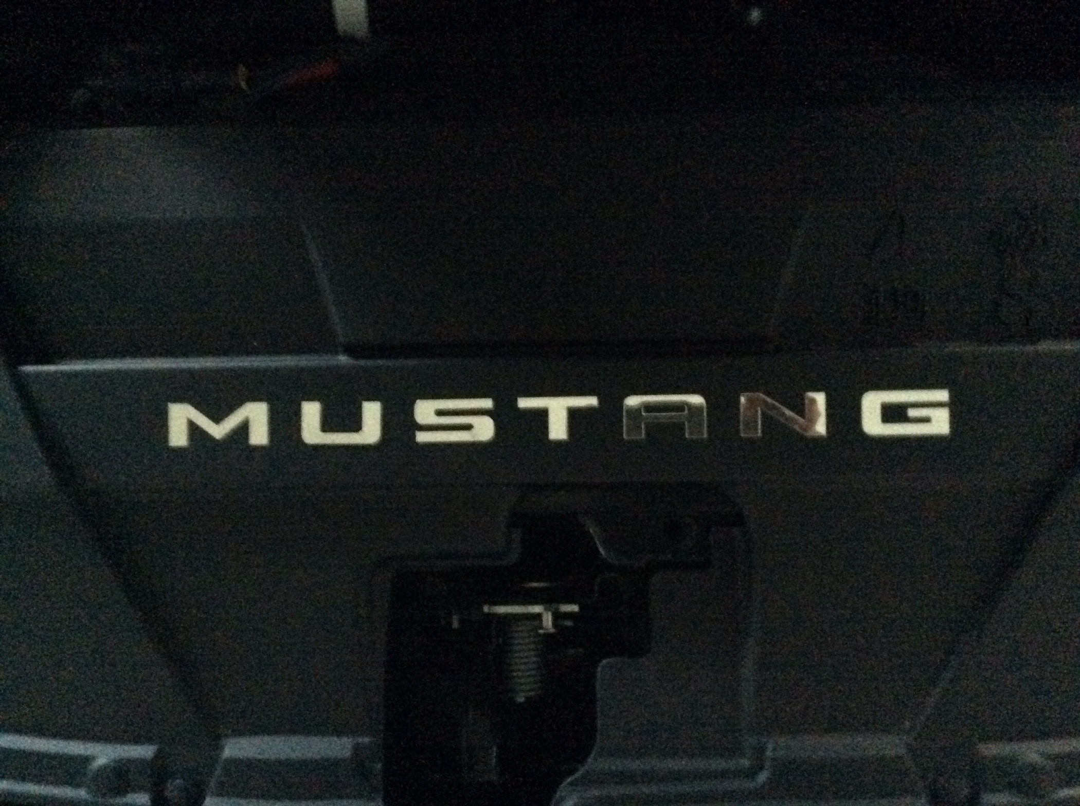 S650 Mustang 2024 Mustang GT / DH Hellion Sleeper Hidden Twin Turbo System- Beefcake Racing!!! image