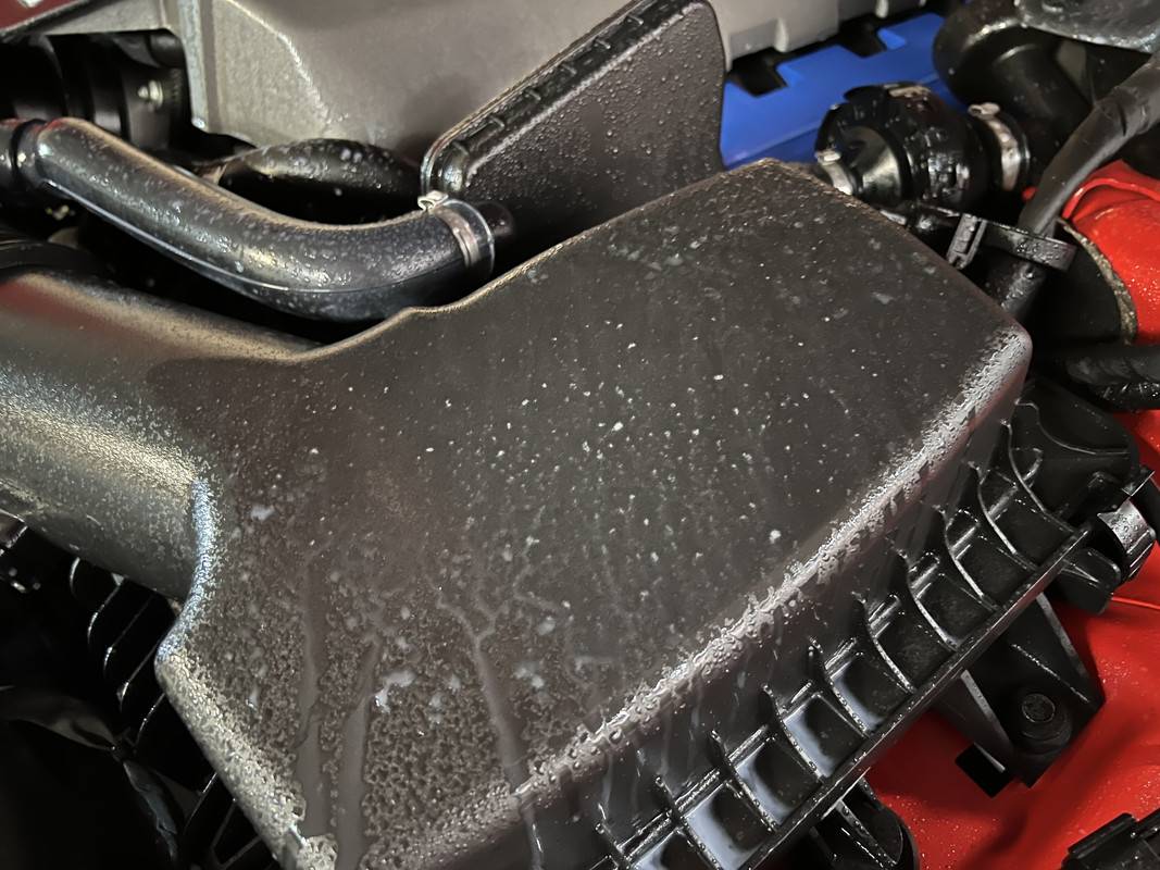 S650 Mustang Aussie S650 Paint protection and detailing thread IMG-3103