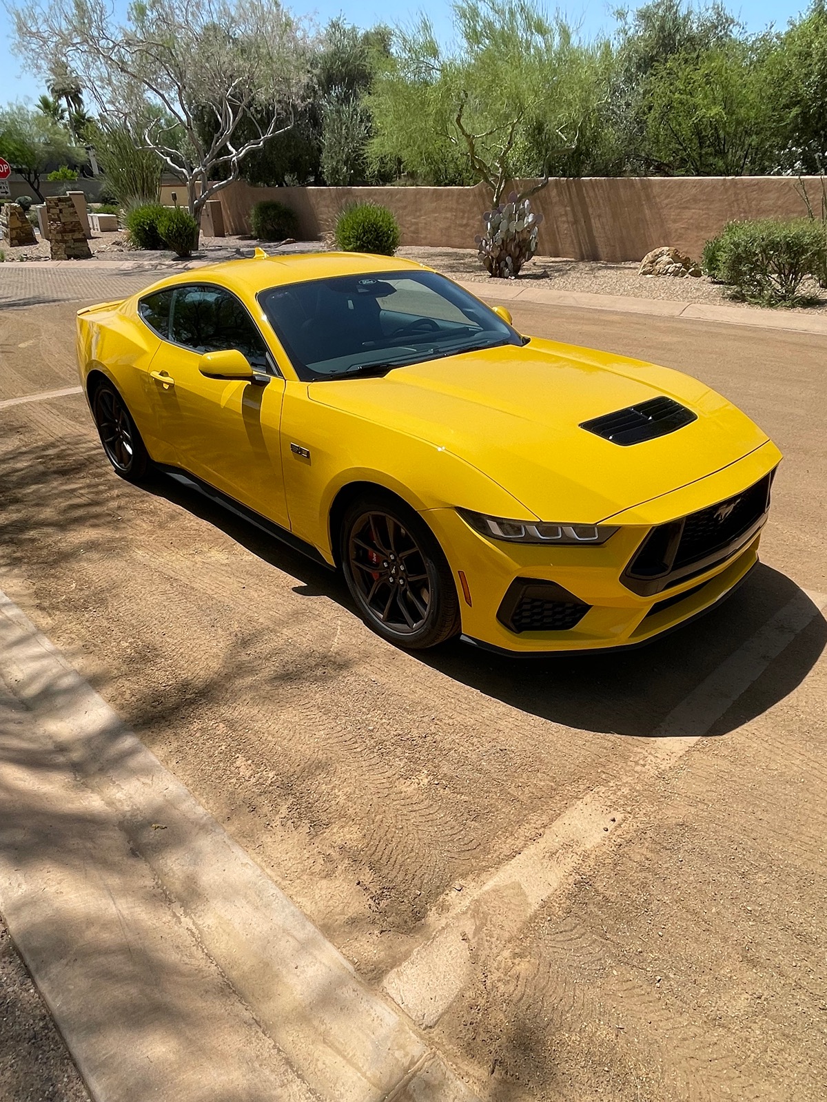 S650 Mustang Yellow Splash Metallic ? IMG_3493