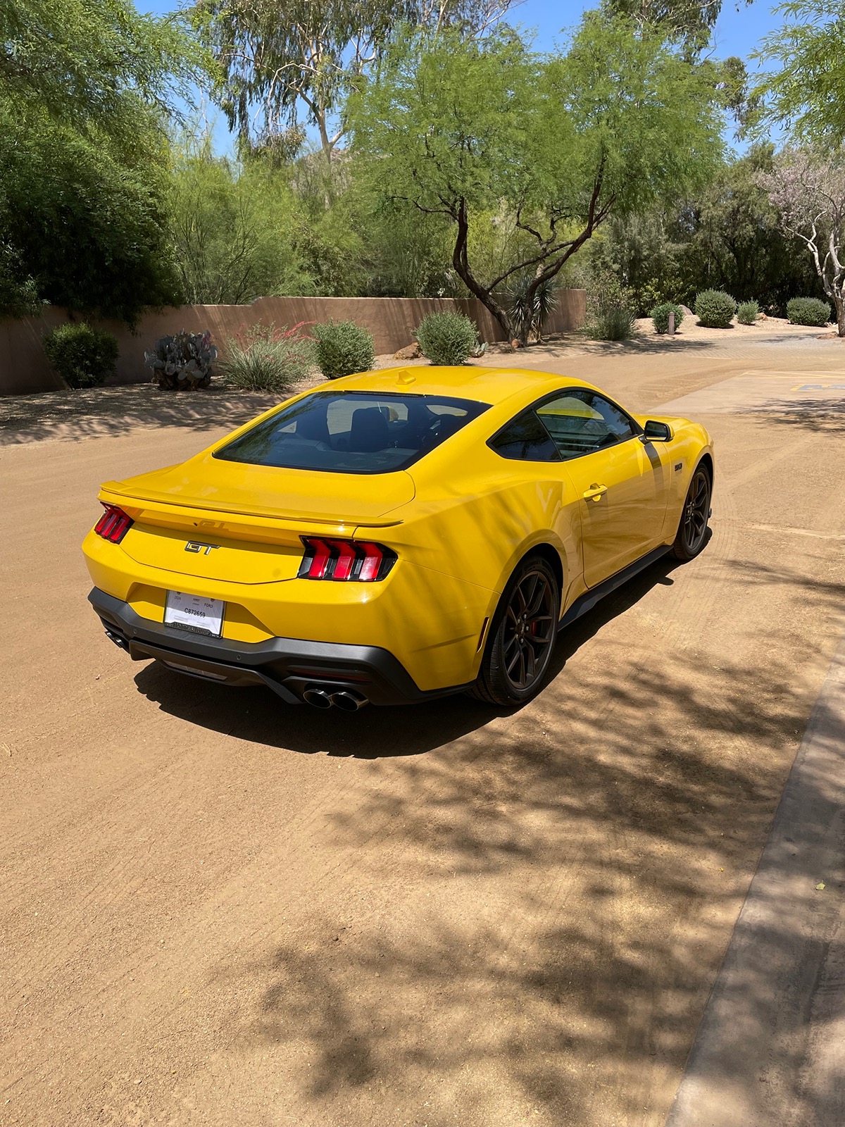 S650 Mustang Yellow Splash Metallic ? IMG_3495