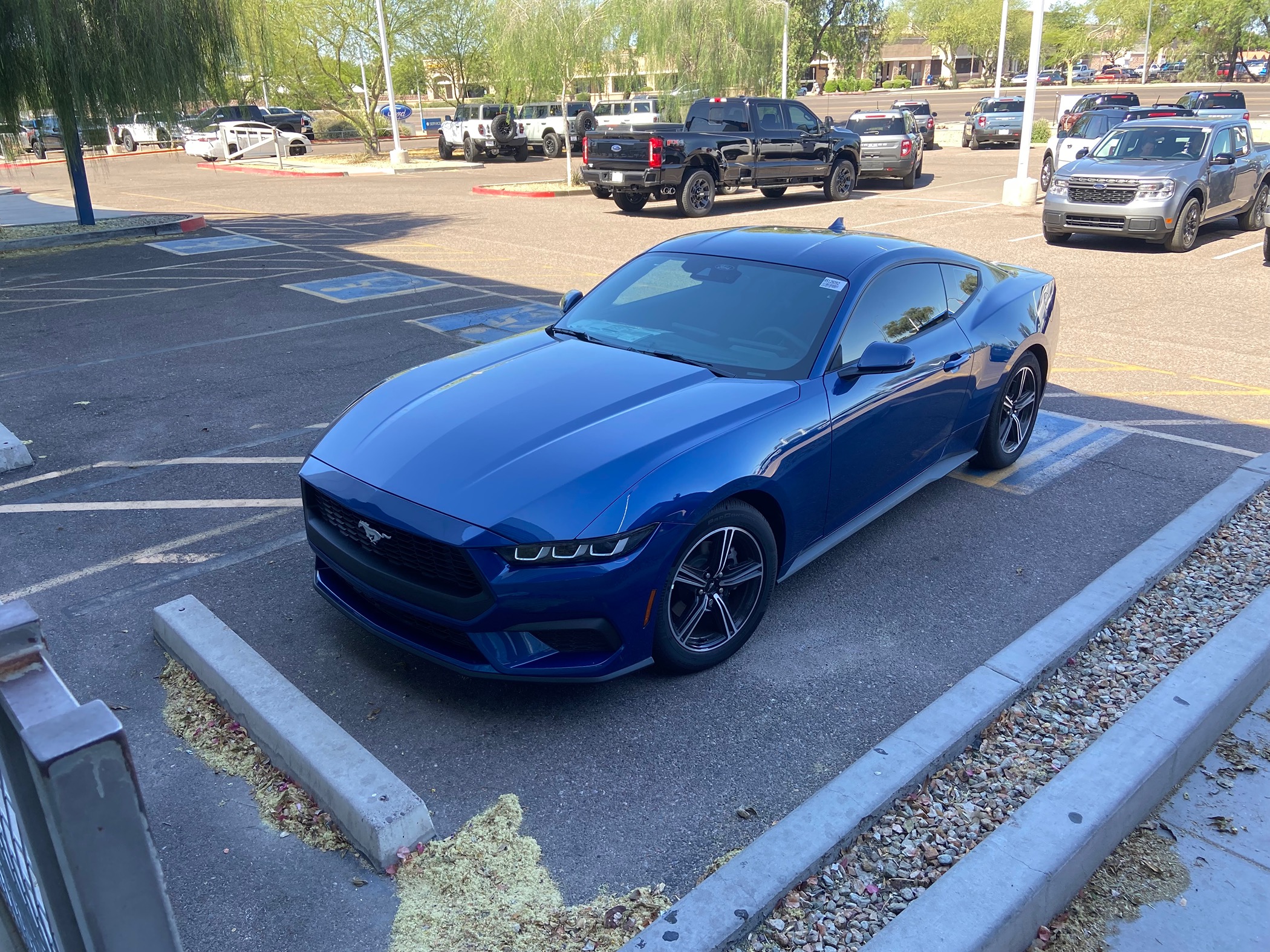 S650 Mustang Just bought a Mustang but dealer can’t release it IMG_3686