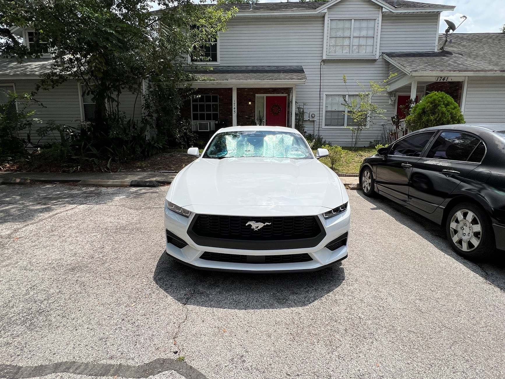S650 Mustang 1 year further and still bad panels IMG_5404