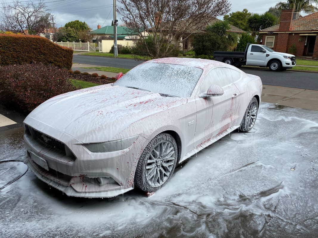 S650 Mustang Pressure Washer Recommendations IMG_5971
