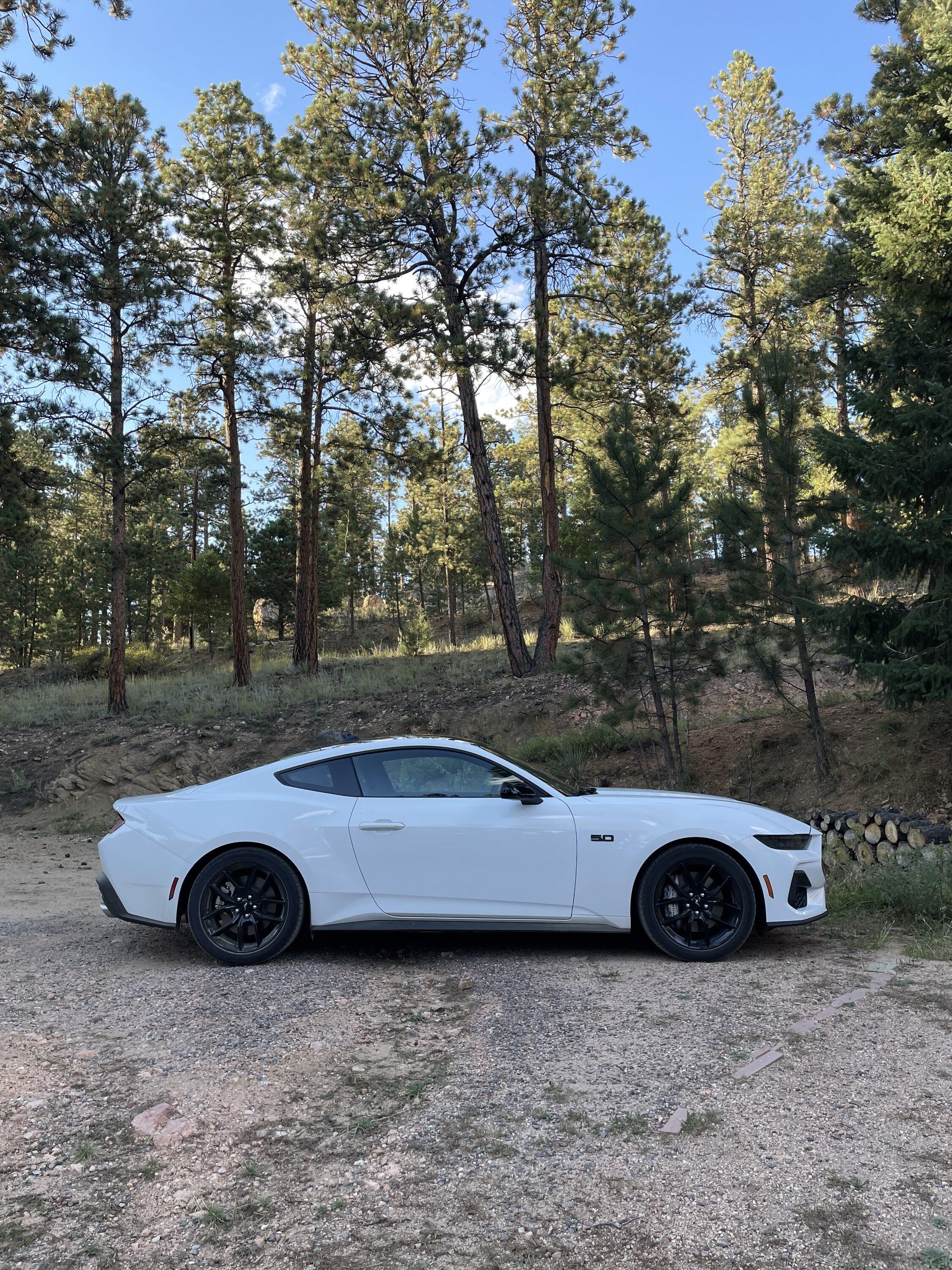 S650 Mustang Official OXFORD WHITE Mustang S650 Thread IMG_6923