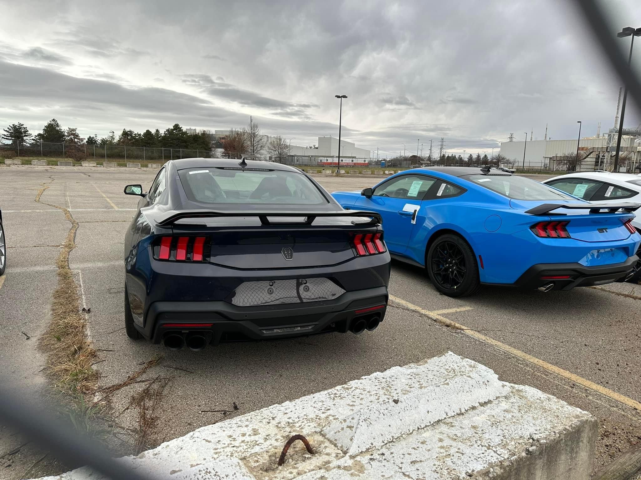 Shadow Black Dark Horse and Grabber Blue Mustang GT S650 spotted at