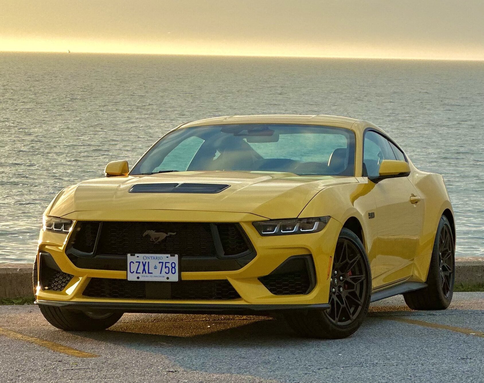 Picked her up and my first shoot - Yellow Splash w/ BAP 2024 GT ...